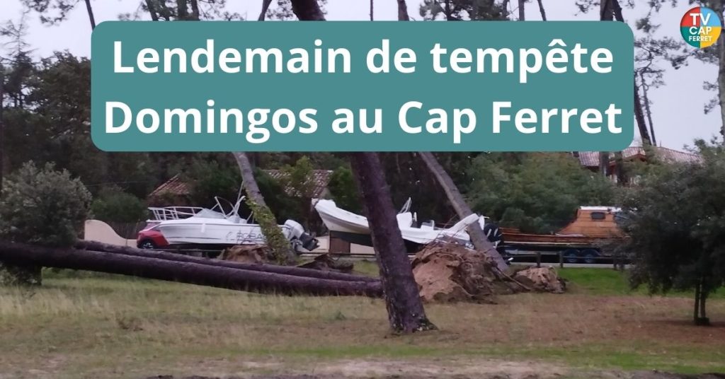 Lendemain de Tempête Domingos au Cap Ferret
