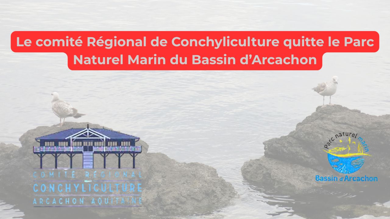 Le comité Régional de Conchyliculture quitte le Parc Naturel Marin du Bassin d’Arcachon