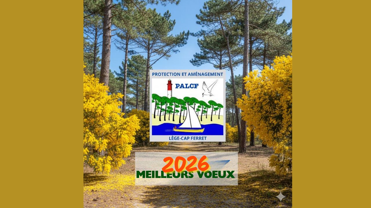 Le president vous adresse ses meilleurs voeux 2026 pour PALCF