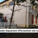 Le Musée-Aquarium d’Arcachon enfin sauvé !-2