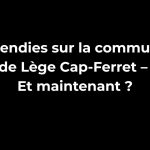 Incendies sur la commune de Lège Cap-Ferret – Et maintenant ?