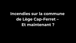 Incendies sur la commune de Lège Cap-Ferret – Et maintenant ?